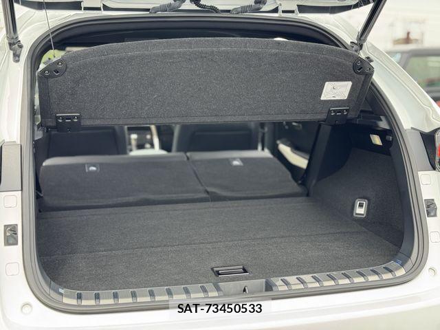 Lexus NX 2021-09 6612890-19