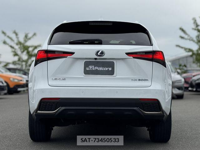 Lexus NX 2021-09 6612890-26