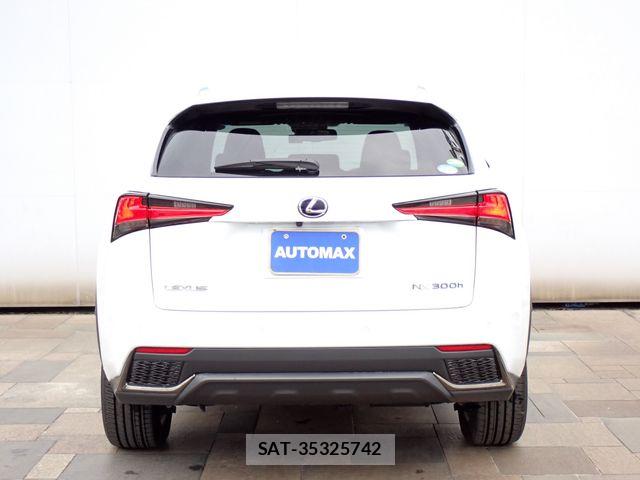 Lexus NX 2018-08 6672283-5