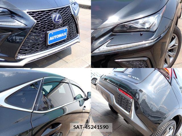 Lexus NX 2019-02 6676694-6
