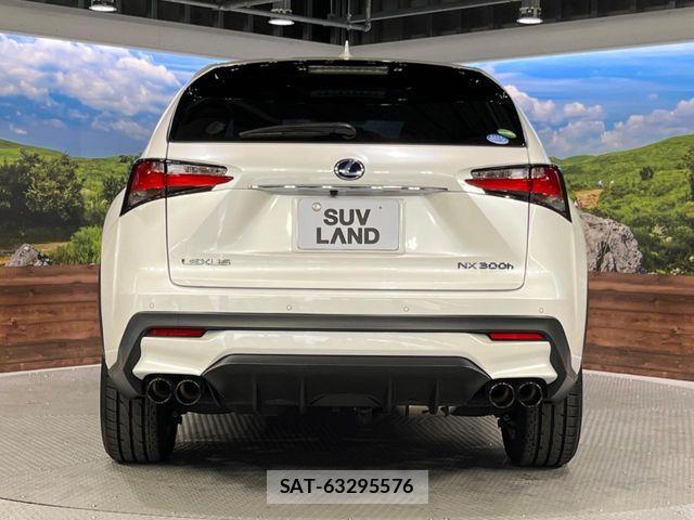 Lexus NX 2015-06 6716535-14