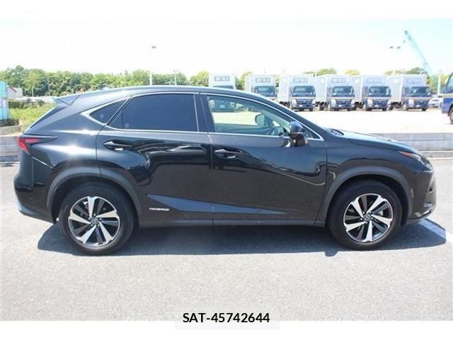 Lexus NX 2020-04 6752253-10