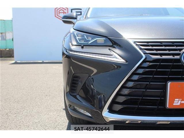 Lexus NX 2020-04 6752253-14