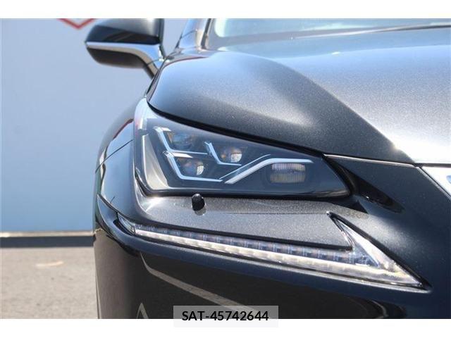 Lexus NX 2020-04 6752253-15