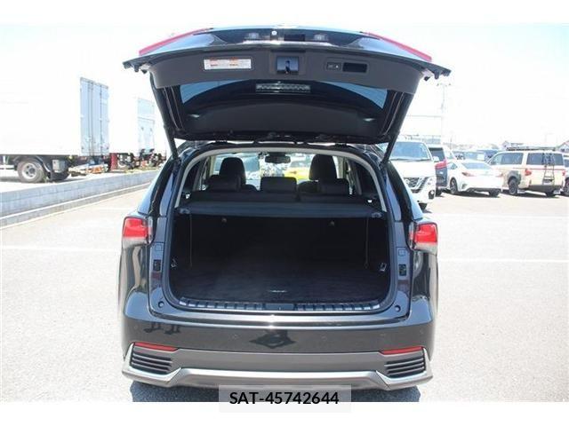 Lexus NX 2020-04 6752253-26