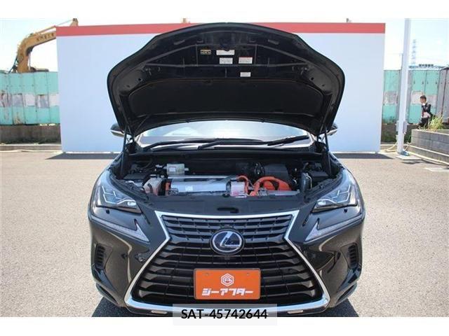 Lexus NX 2020-04 6752253-28