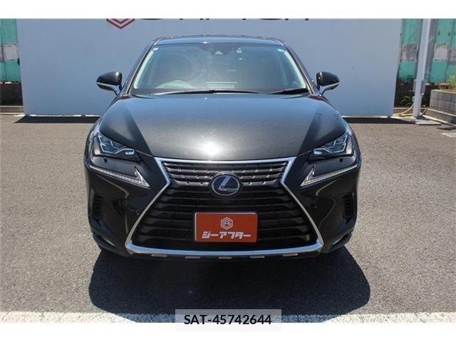 Lexus NX 2020-04 6752253-7