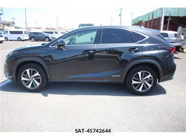 Lexus NX 2020-04 6752253-8