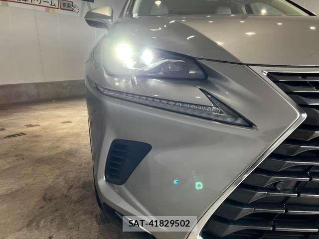 Lexus NX 2019-09 6907770-16