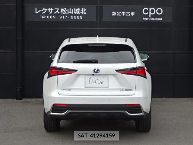 Lexus NX 2018-06 6907776-4