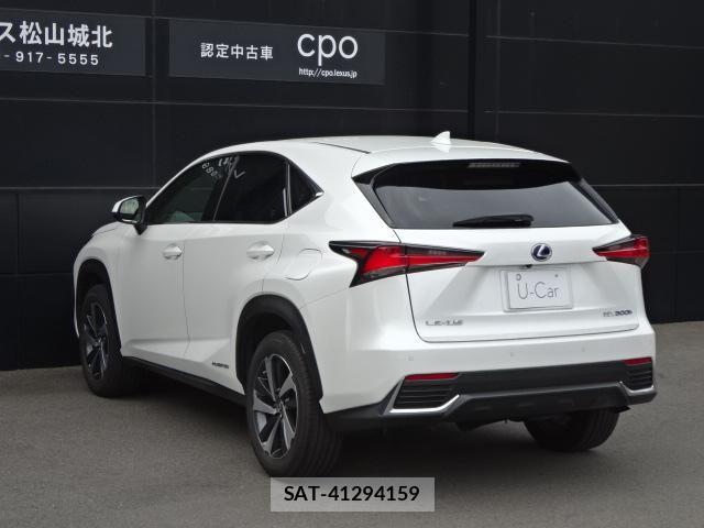 Lexus NX 2018-06 6907776-5