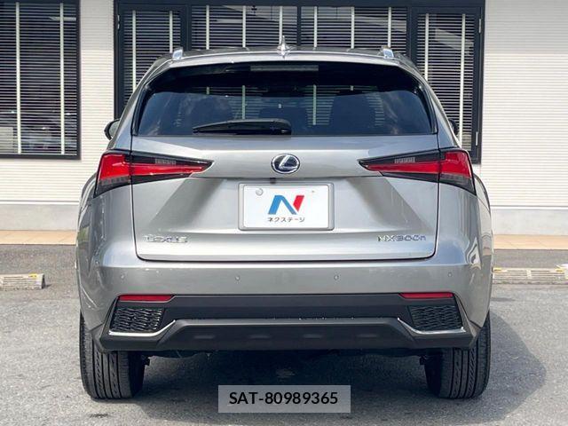 Lexus NX 2018-04 6907774-15