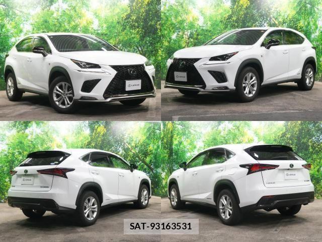 Lexus NX 2020-11 6907773-1