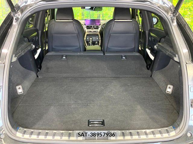 Lexus NX 2018-03 6995115-9