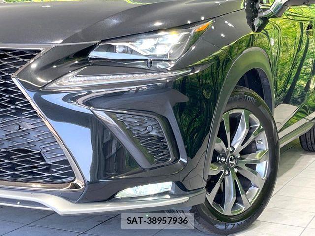 Lexus NX 2018-03 6995115-11