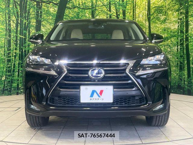 Lexus NX 2015-11 6995170-13