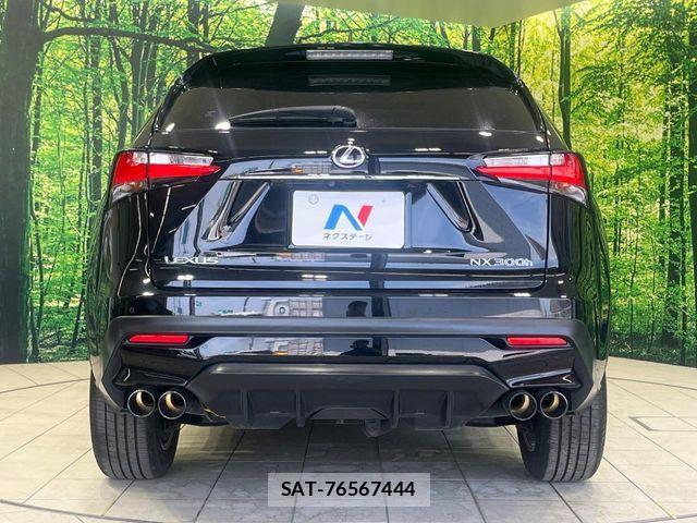 Lexus NX 2015-11 6995170-14
