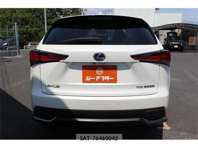 Lexus NX 2018-04 6995116-9