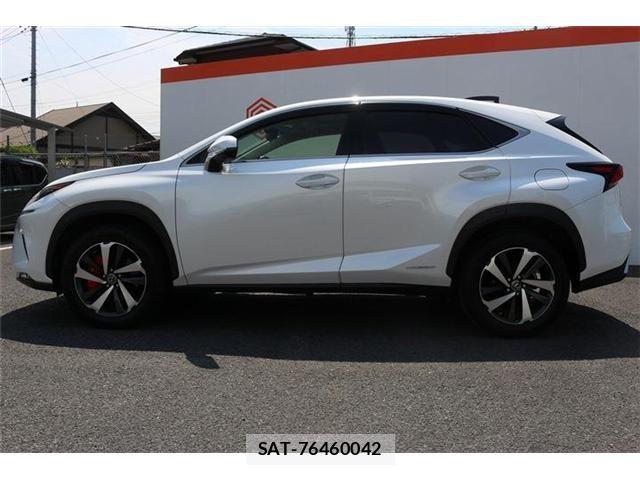 Lexus NX 2018-04 6995116-10
