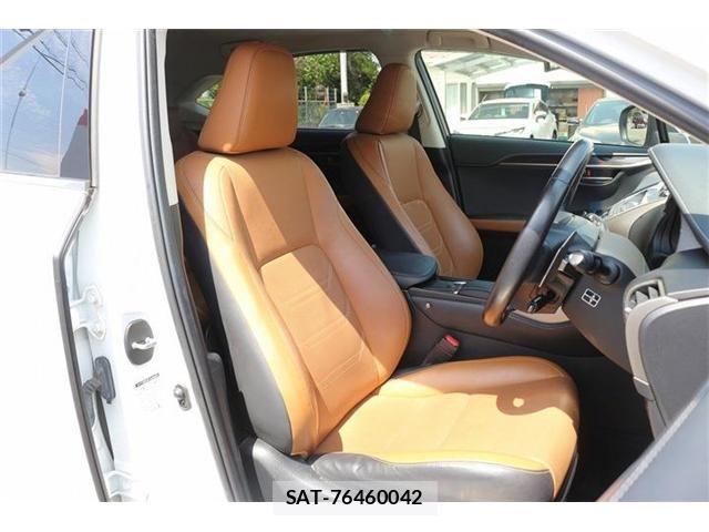Lexus NX 2018-04 6995116-14