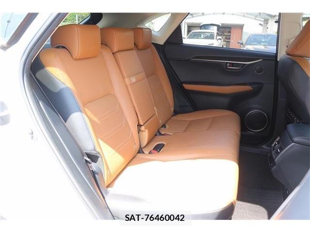Lexus NX 2018-04 6995116-15