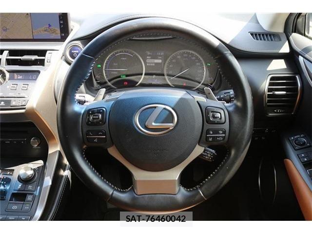 Lexus NX 2018-04 6995116-17