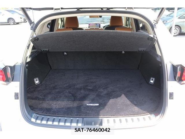 Lexus NX 2018-04 6995116-18