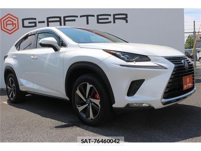 Lexus NX 2018-04 6995116-19