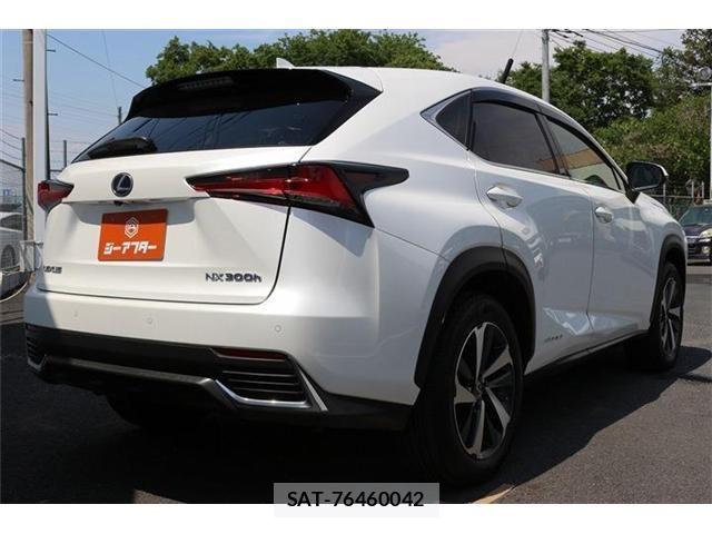 Lexus NX 2018-04 6995116-20