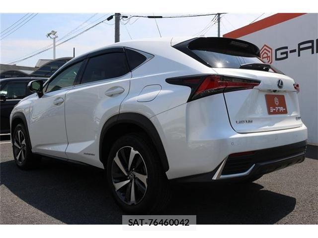 Lexus NX 2018-04 6995116-21
