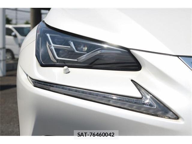Lexus NX 2018-04 6995116-23