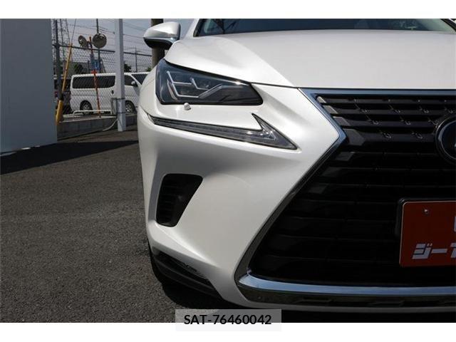 Lexus NX 2018-04 6995116-24