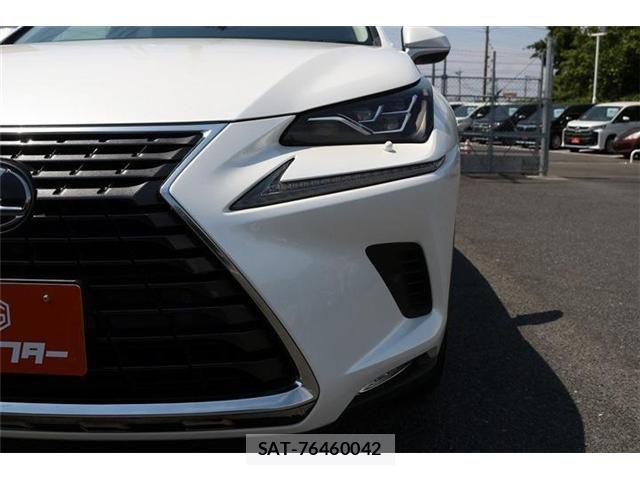 Lexus NX 2018-04 6995116-25