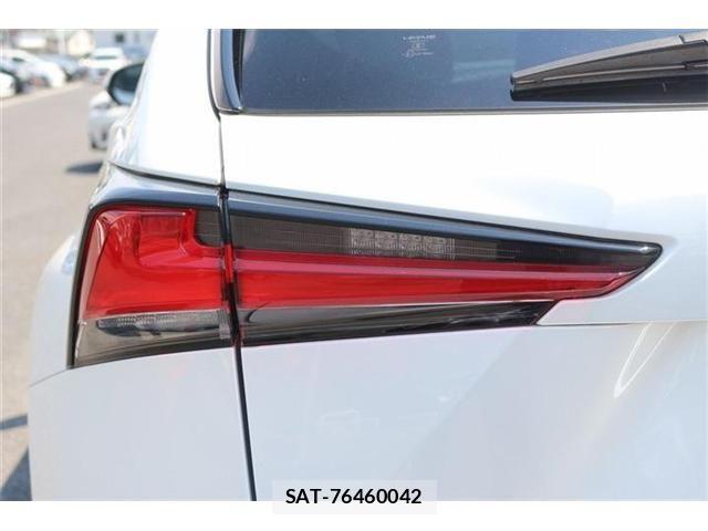 Lexus NX 2018-04 6995116-28