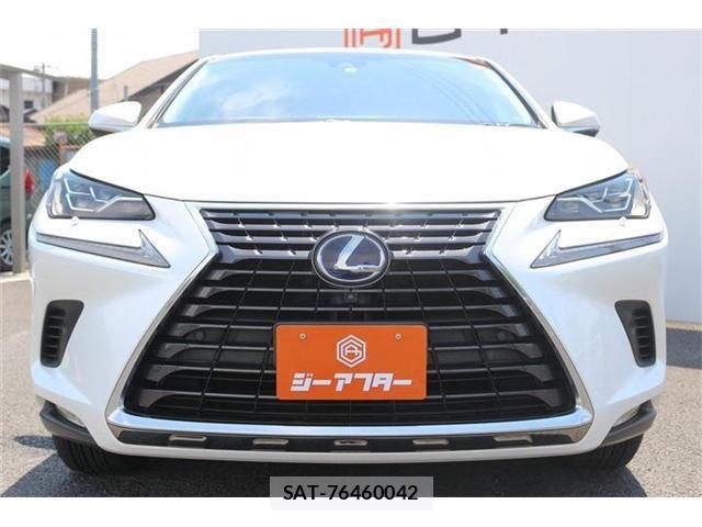 Lexus NX 2018-04 6995116-7