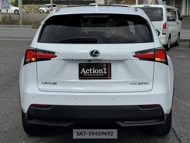 Lexus NX 2017-03 7020778-4
