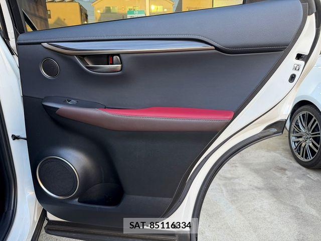 Lexus NX 2018-06 7059280-22
