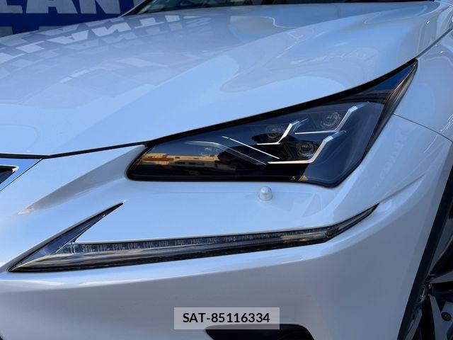 Lexus NX 2018-06 7059280-24