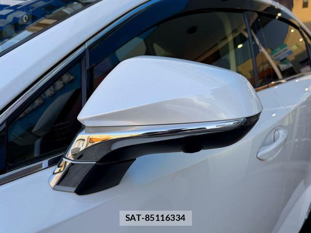 Lexus NX 2018-06 7059280-25