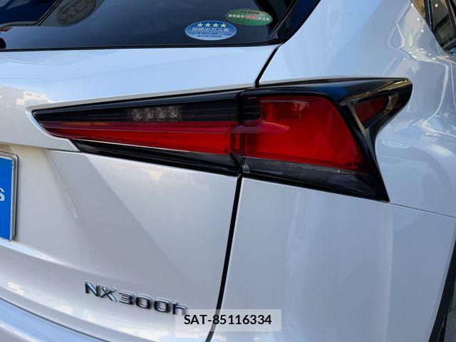Lexus NX 2018-06 7059280-26