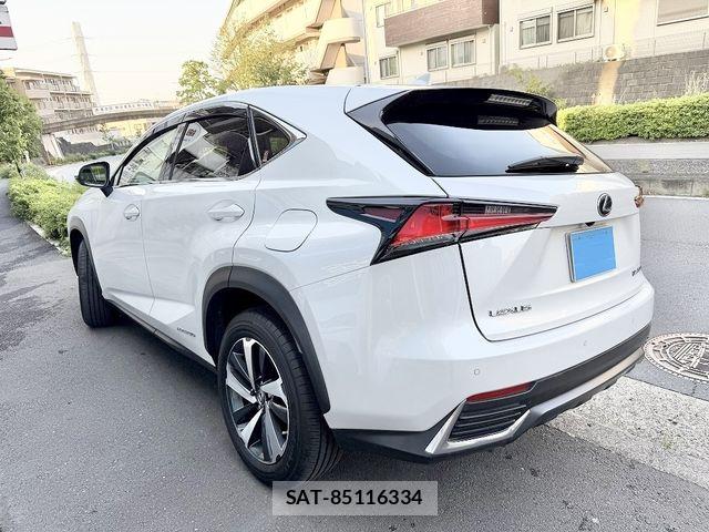 Lexus NX 2018-06 7059280-2
