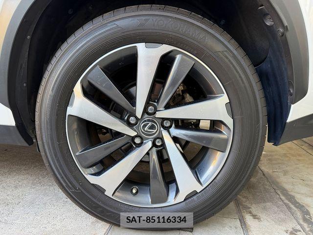 Lexus NX 2018-06 7059280-3
