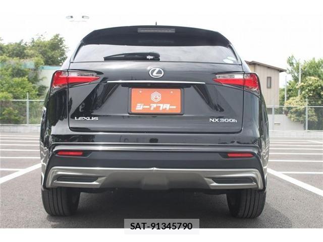 Lexus NX 2014-08 7221034-11