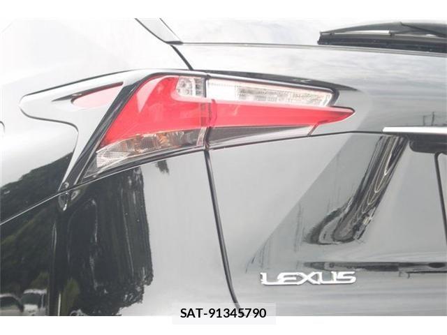 Lexus NX 2014-08 7221034-12
