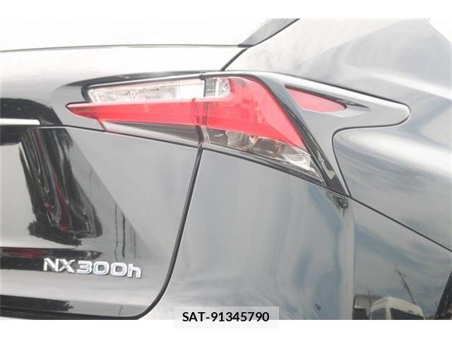 Lexus NX 2014-08 7221034-13