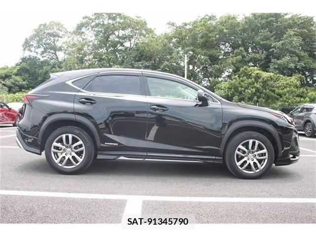 Lexus NX 2014-08 7221034-15