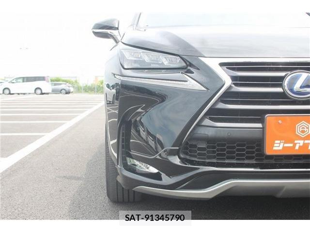 Lexus NX 2014-08 7221034-4