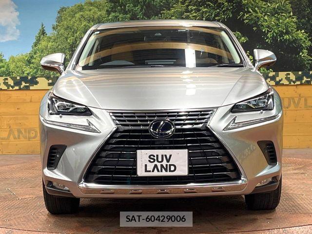 Lexus NX 2019-09 7221037-13
