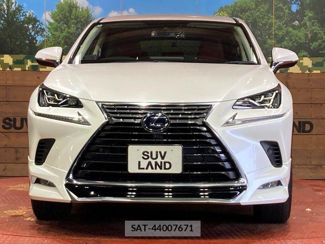 Lexus NX 2020-01 7221039-13