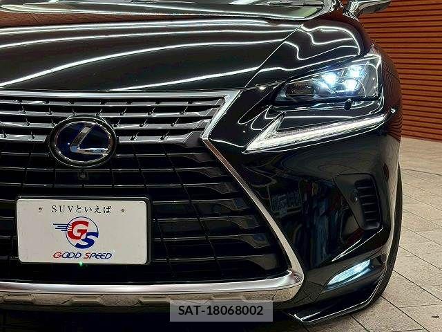Lexus NX 2019-05 7251330-9